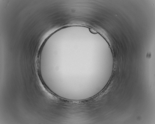 X0000091501003200708161230