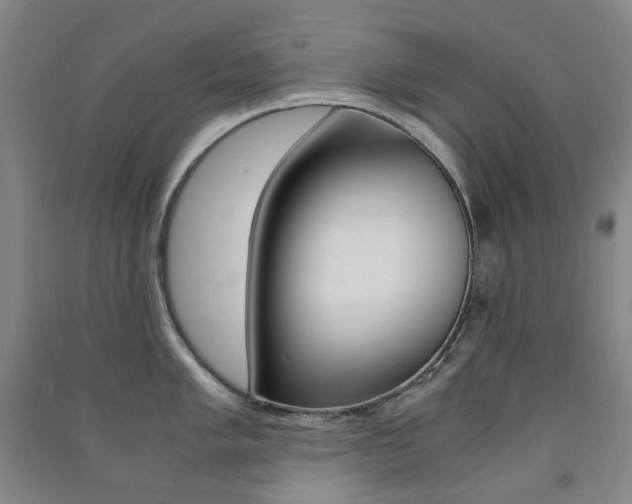 X0000091501005200708161230