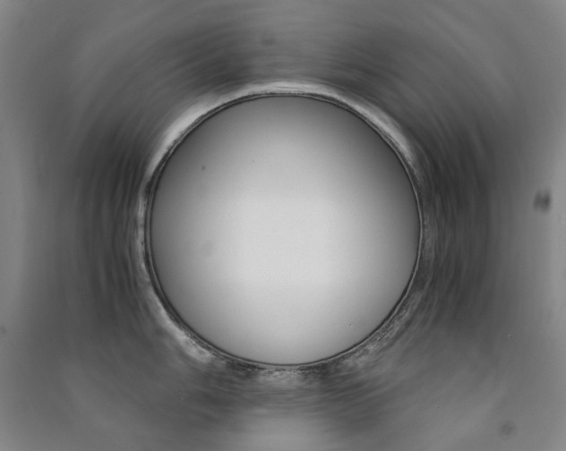 X0000091501006200708161230