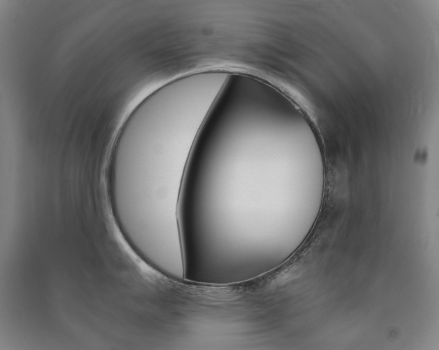 X0000091501007200708161230