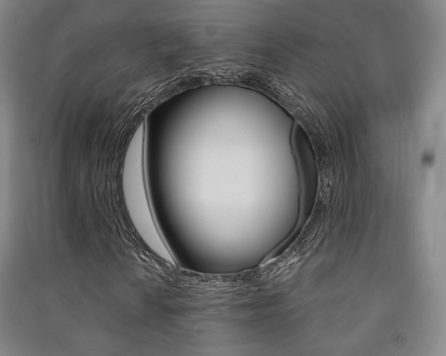 X0000091501010200708161229
