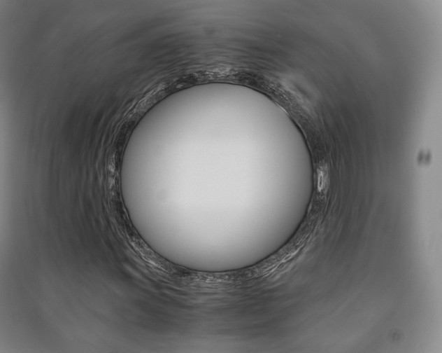 X0000091501011200708161229