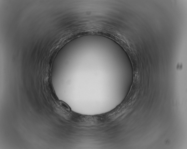 X0000091501012200708161229