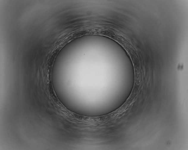 X0000091501013200708161229