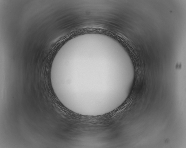 X0000091501014200708161229