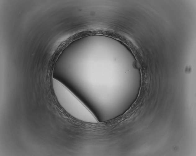X0000091501016200708161229