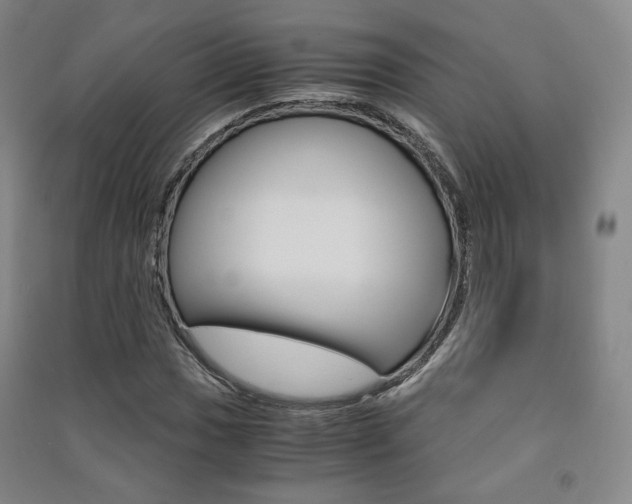 X0000091501017200708161230