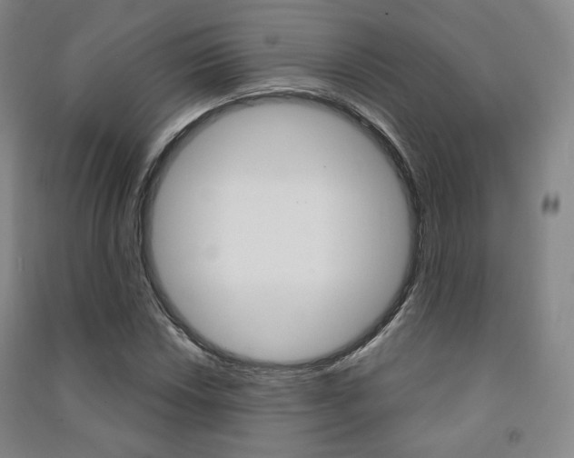 X0000091501018200708161230