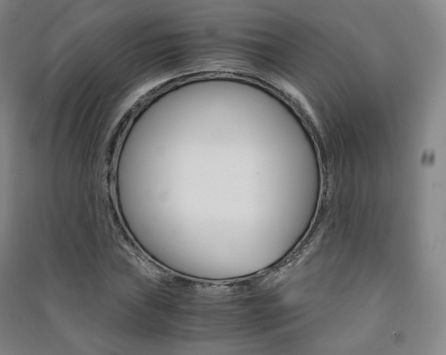 X0000091501019200708161230