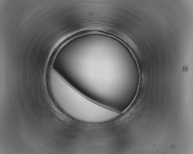 X0000091501020200708161230