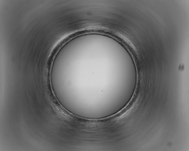 X0000091501021200708161230