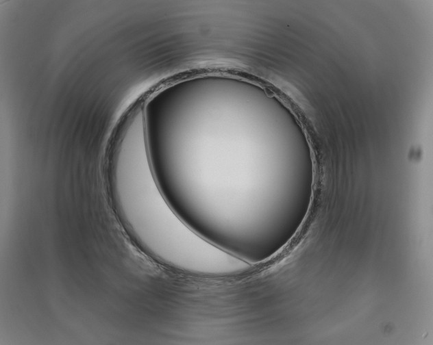X0000091501022200708161230
