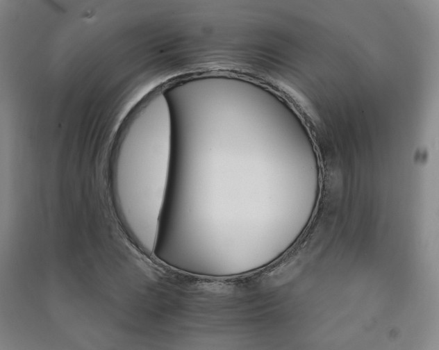 X0000091501023200708161230