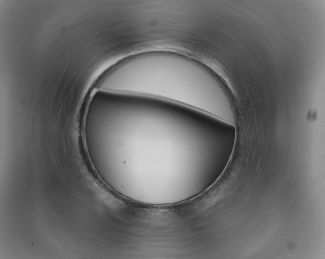 X0000091501024200708161230