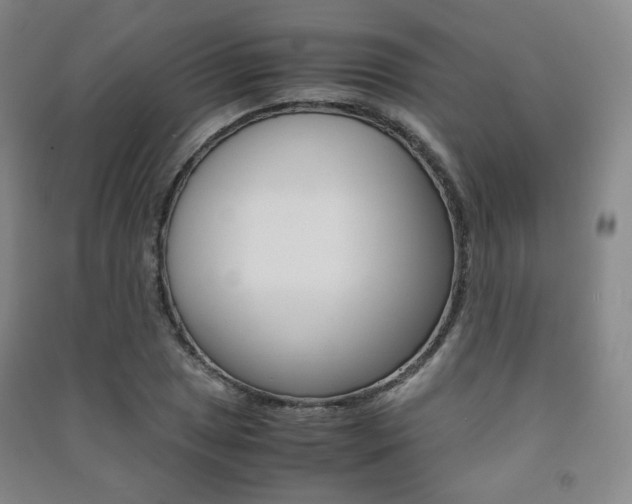 X0000091501025200708161230