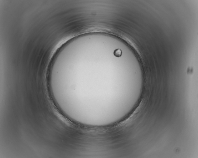X0000091501026200708161230