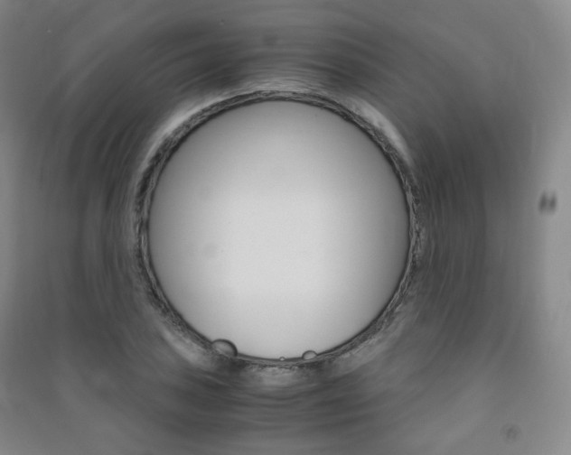 X0000091501027200708161230