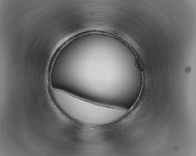 X0000091501028200708161230