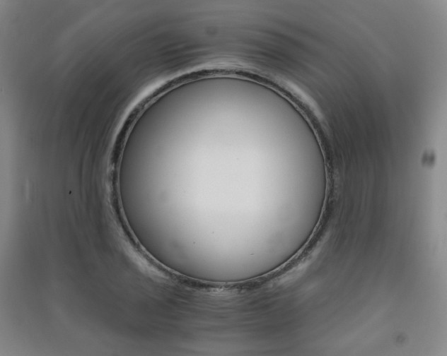 X0000091501029200708161230