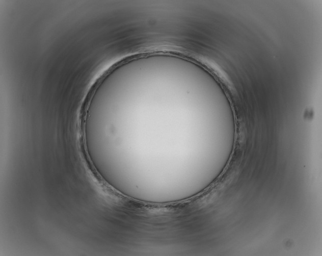 X0000091501031200708161230