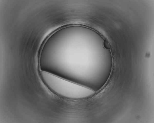 X0000091501032200708161230