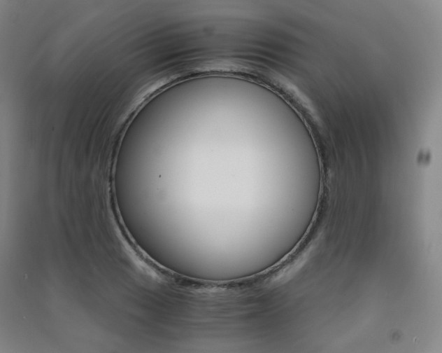 X0000091501033200708161230