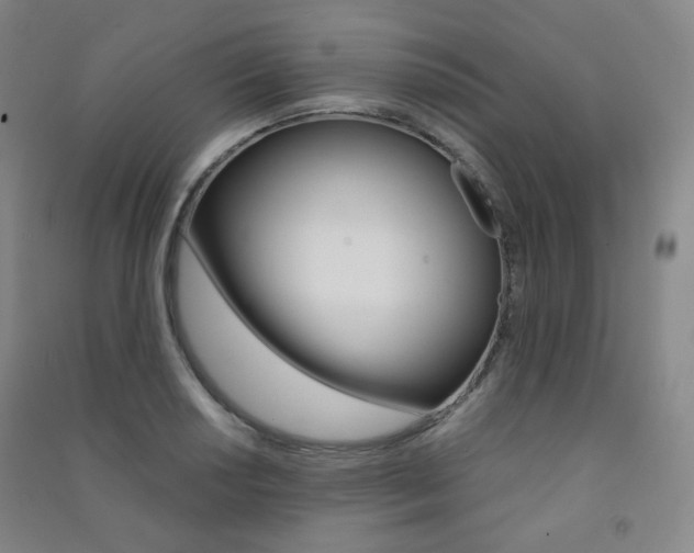 X0000091501034200708161230