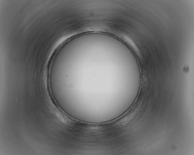 X0000091501035200708161230