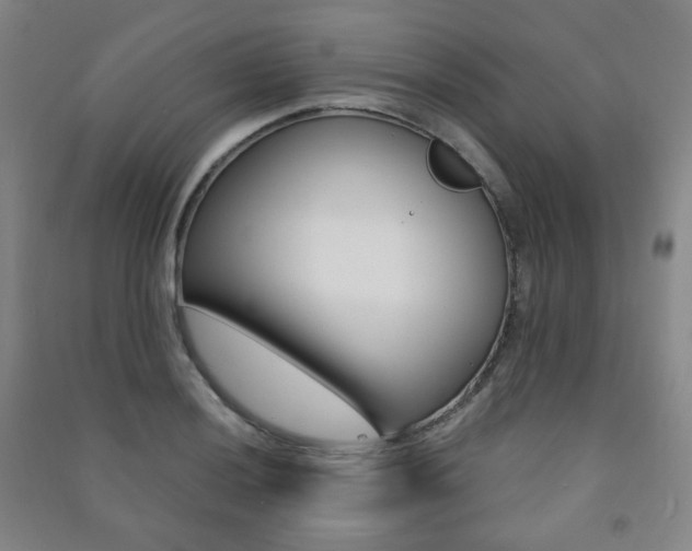 X0000091501036200708161230