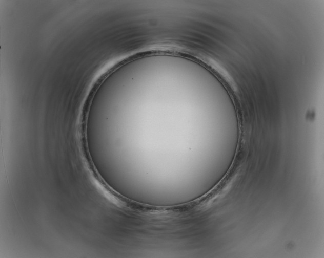 X0000091501037200708161230