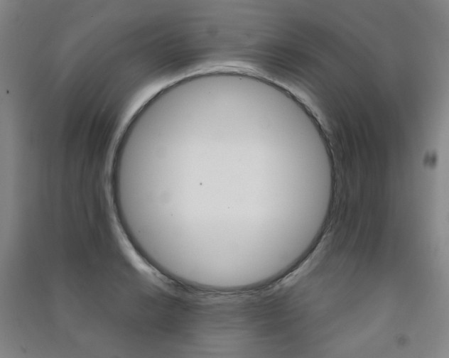 X0000091501038200708161230