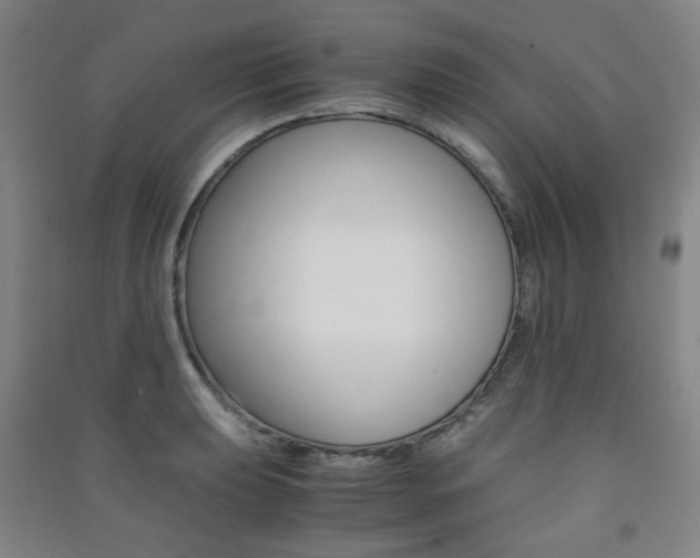 X0000091501039200708161230