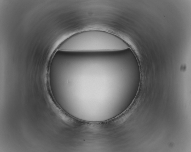 X0000091501040200708161230