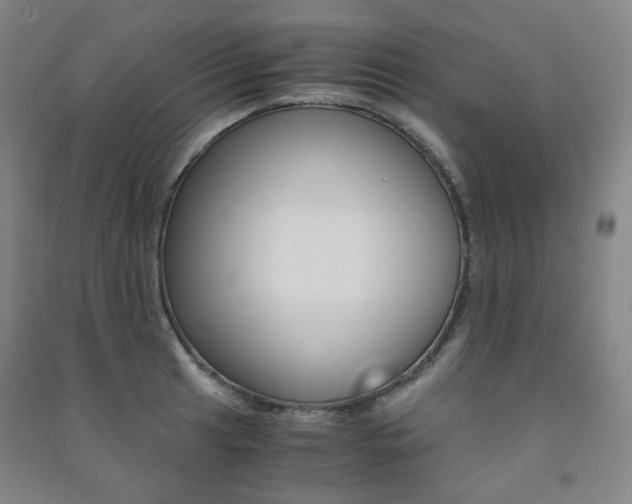 X0000091501041200708161230