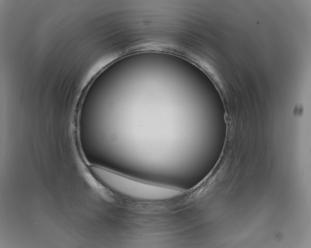 X0000091501042200708161230