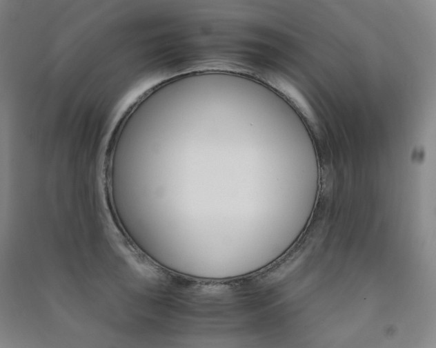 X0000091501043200708161230
