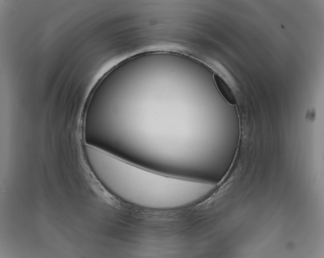 X0000091501044200708161230