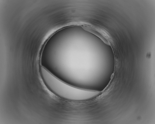 X0000091501046200708161230