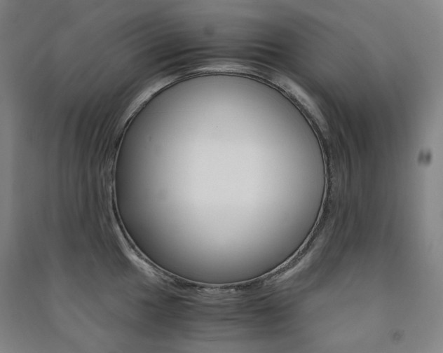 X0000091501049200708161230