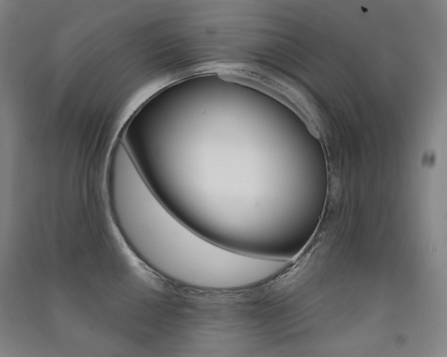 X0000091501050200708161230