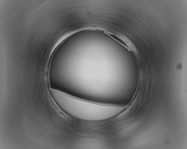 X0000091501052200708161230