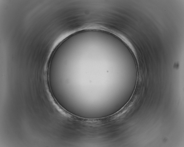 X0000091501053200708161230