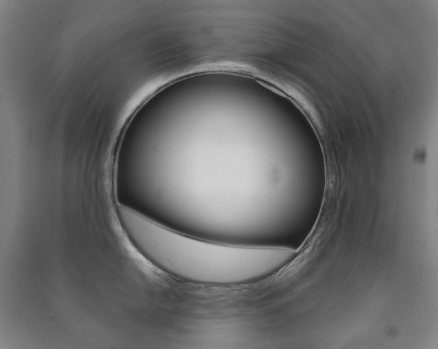 X0000091501054200708161230