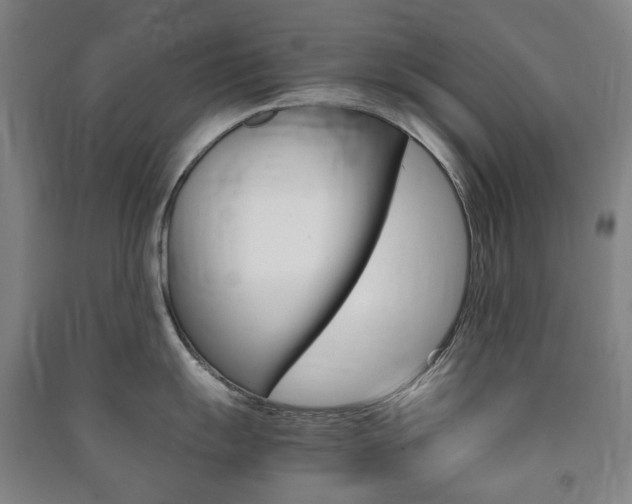 X0000091501055200708161230