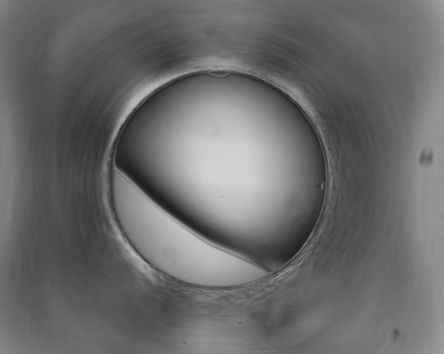 X0000091501056200708161230