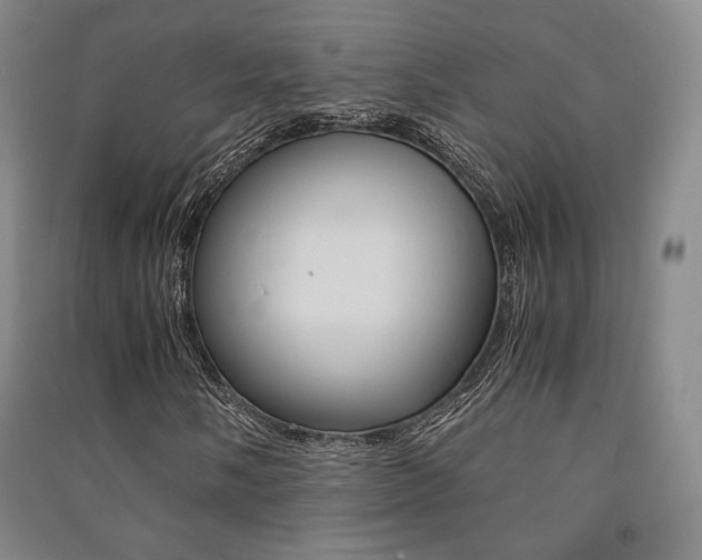 X0000091501058200708161229