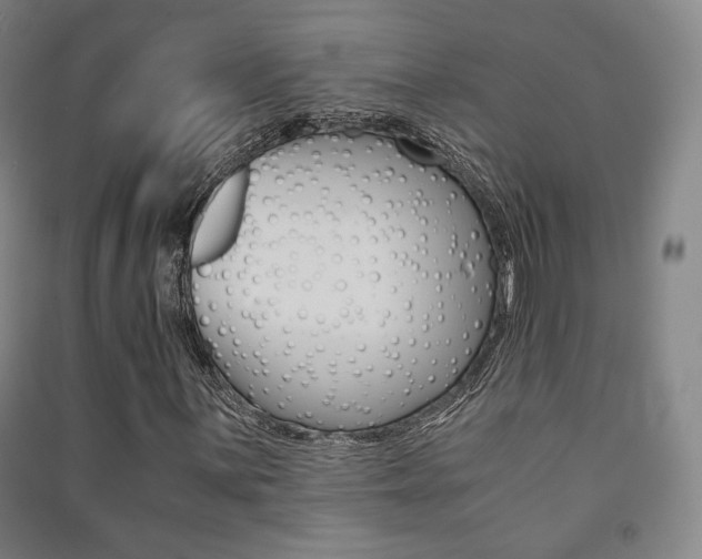 X0000091501059200708161229