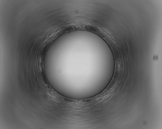 X0000091501060200708161229