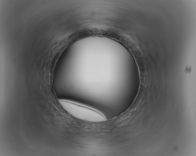 X0000091501061200708161229