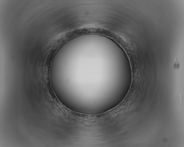 X0000091501062200708161229